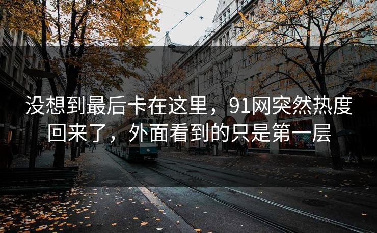 没想到最后卡在这里，91网突然热度回来了，外面看到的只是第一层