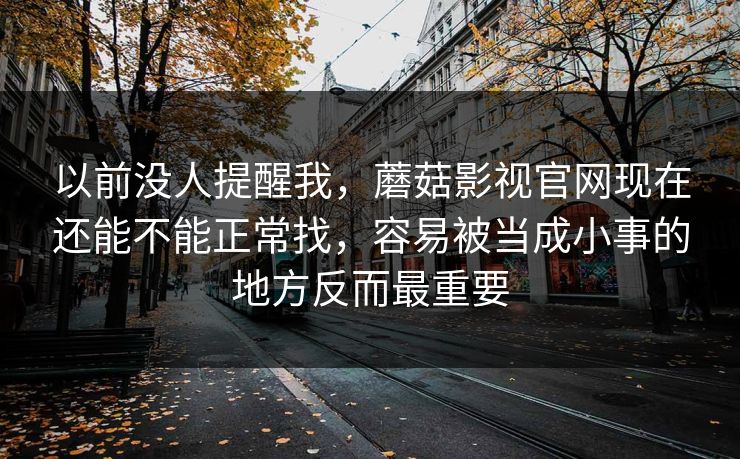 以前没人提醒我，蘑菇影视官网现在还能不能正常找，容易被当成小事的地方反而最重要