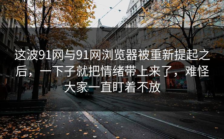 这波91网与91网浏览器被重新提起之后，一下子就把情绪带上来了，难怪大家一直盯着不放