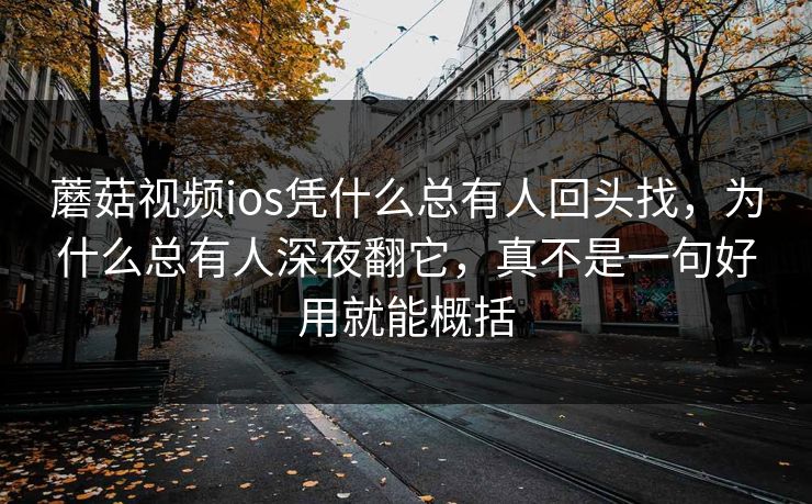 蘑菇视频ios凭什么总有人回头找，为什么总有人深夜翻它，真不是一句好用就能概括