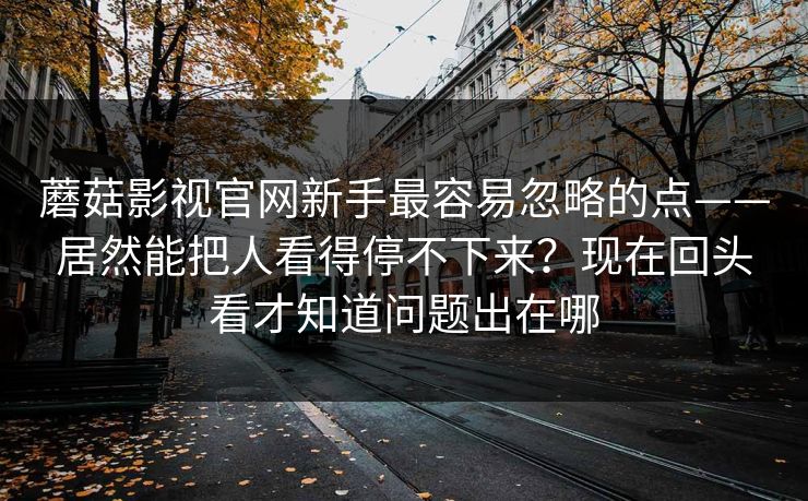 蘑菇影视官网新手最容易忽略的点——居然能把人看得停不下来？现在回头看才知道问题出在哪