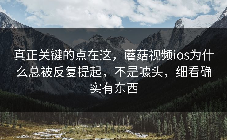 真正关键的点在这，蘑菇视频ios为什么总被反复提起，不是噱头，细看确实有东西