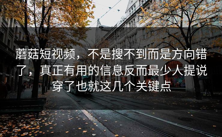 蘑菇短视频，不是搜不到而是方向错了，真正有用的信息反而最少人提说穿了也就这几个关键点