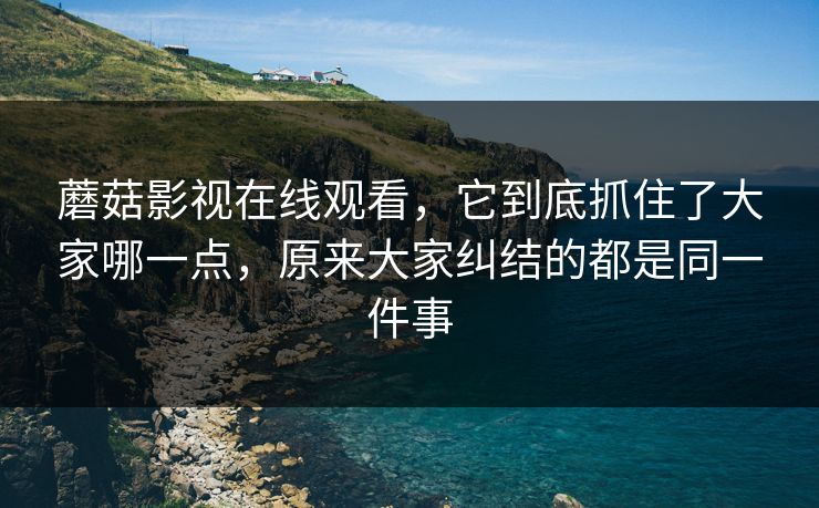 蘑菇影视在线观看，它到底抓住了大家哪一点，原来大家纠结的都是同一件事