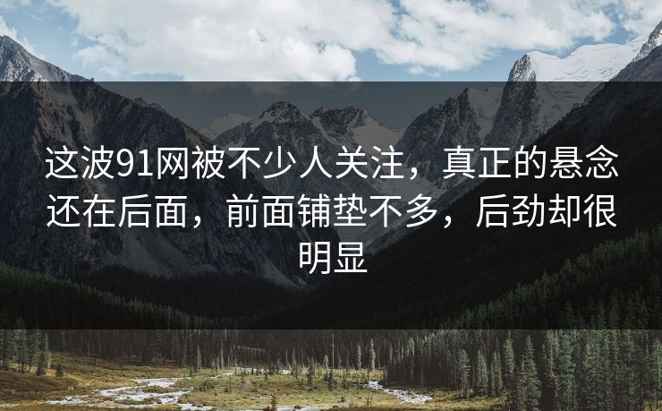 这波91网被不少人关注，真正的悬念还在后面，前面铺垫不多，后劲却很明显