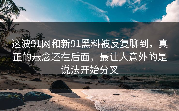 这波91网和新91黑料被反复聊到，真正的悬念还在后面，最让人意外的是说法开始分叉