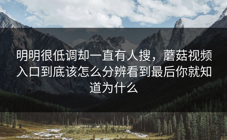 明明很低调却一直有人搜，蘑菇视频入口到底该怎么分辨看到最后你就知道为什么