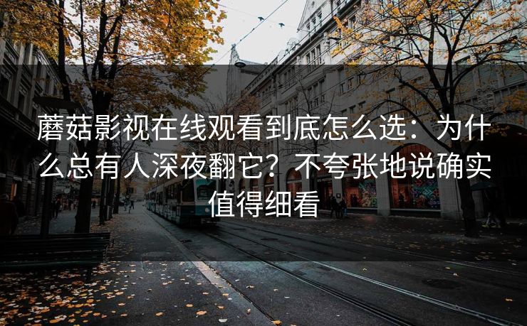 蘑菇影视在线观看到底怎么选：为什么总有人深夜翻它？不夸张地说确实值得细看