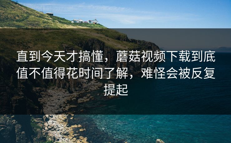 直到今天才搞懂，蘑菇视频下载到底值不值得花时间了解，难怪会被反复提起